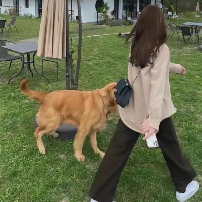 星与翼的悖论